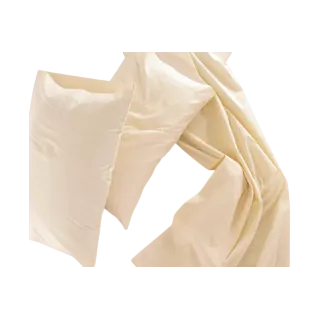 Sleep & Beyond 100% Organic Cotton Sateen Sheet Set