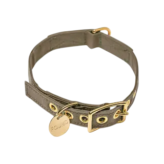 Found My Animal Cotton Canvas Cat & Dog Collar
