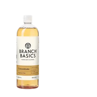 Branch Basics The Concentrate